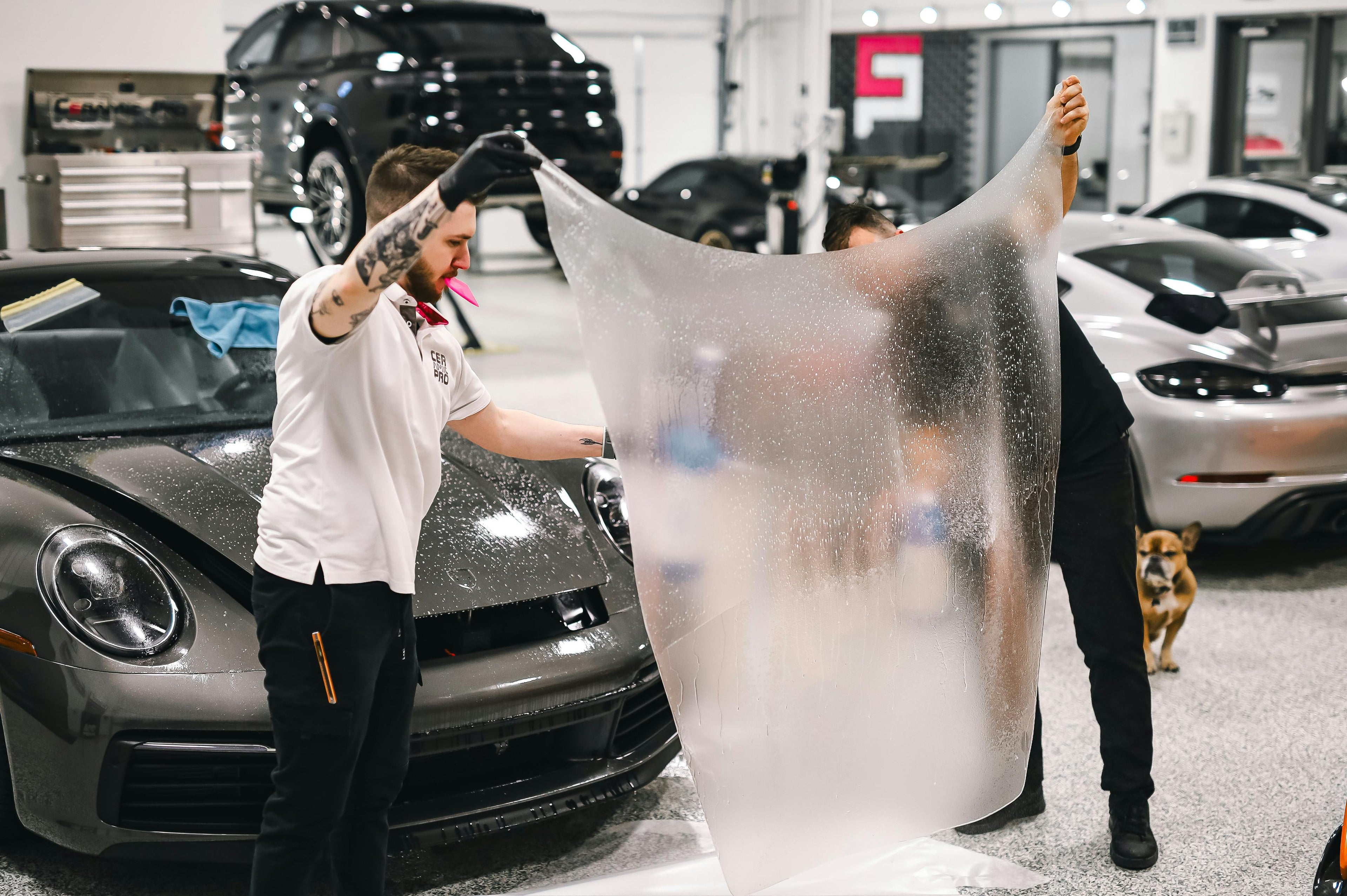 XPEL Paint Protection Film Explained: What You Need to Know
